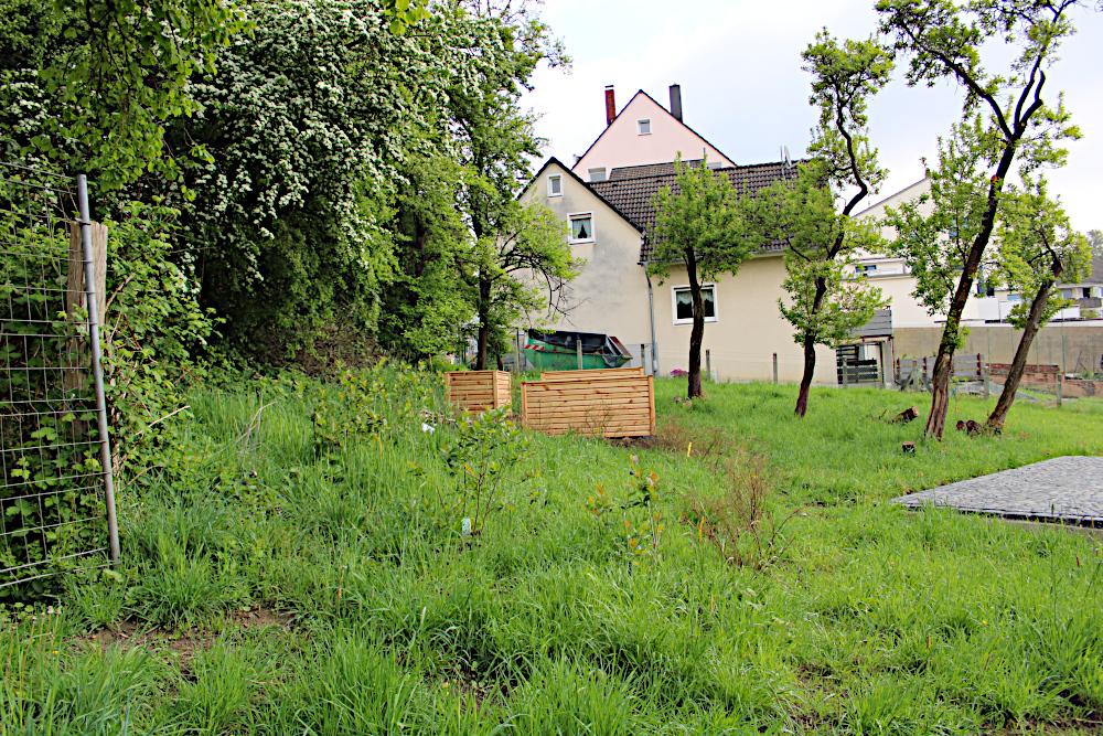 Burg / Höhscheid 4 IMG 1832
